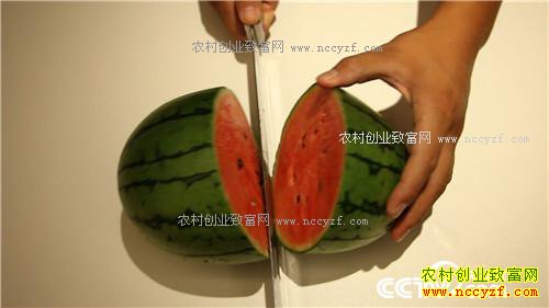 �¸���������ϱ����ϡ�����Ͽ���8000��20170724��