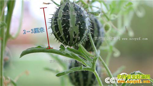 �¸���������ϱ����ϡ�����Ͽ���8000��20170724��