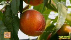 [ÿ��ũ��]ɽ���ٹ����ⶼ�Ƶ����Ӳ����������۸�