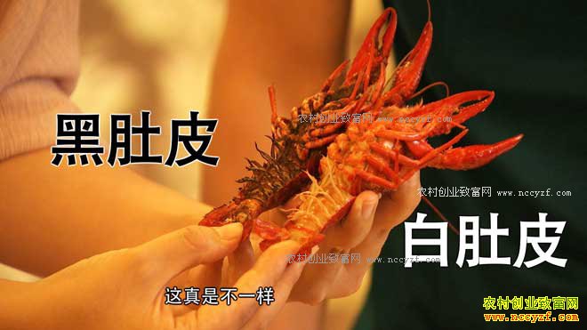 [�¸���]����ũ��С����С��������ӪС��Ϻ����׬3000��