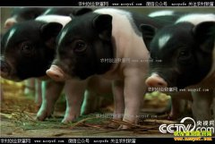 [�¸���]�㽭�����ض��۴����պ�����ֳ��������ǧ��Ƹ�