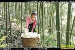 ����ݥ׬Ǯ��������ֲ��ݥÿĶ������ǧ