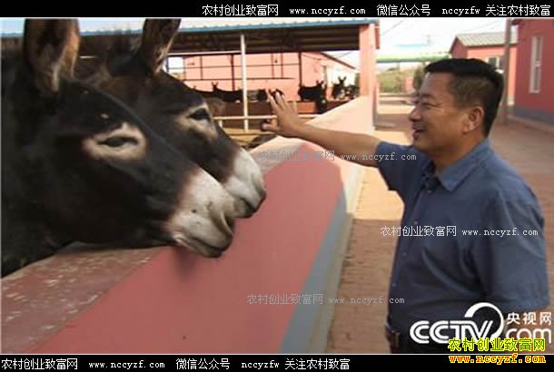 [�¸���]¿������ �������³�¶����¿��¿��