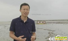 [�¸���]��ϱ������ �����Ͼ� ׬��ǧ���