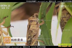 [ÿ��ũ��]���������������ٴ��������ƺ��¸�