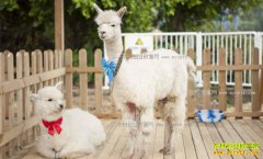 �㽭�������ڹ����⡰���ޡ�������׬��Ԫ