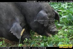 [�¸���]�Ĵ�������������ֳ�ɻ���׬����׬������Ǯ