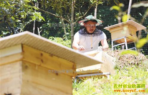 ����ǿ������ܾ���ֳ�з���¸���ͷ��