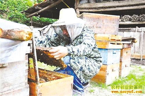 ����ǿ������ܾ���ֳ�з���¸���ͷ��