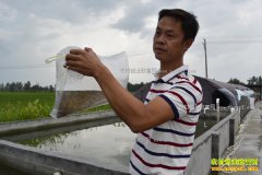 �����˳Ƕ��ܵ�������ֳ�¸���