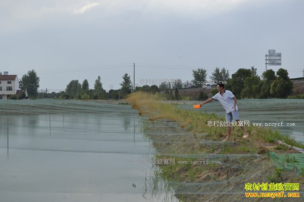 ���ܣ�80��С��ġ������¸��Ρ�