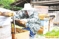 ����ǿ������ܾ���ֳ�з���¸���ͷ��