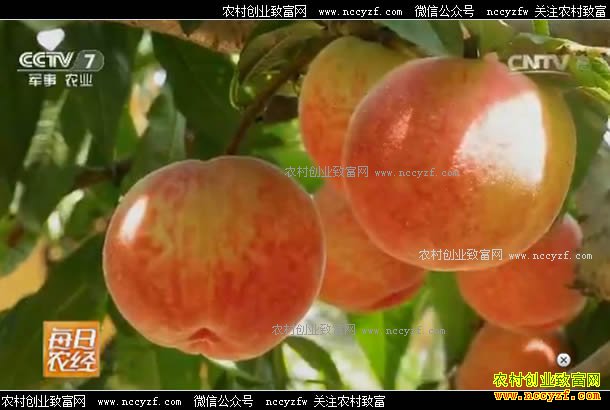 ÿ��ũ���������ذ�����ζ���г�����