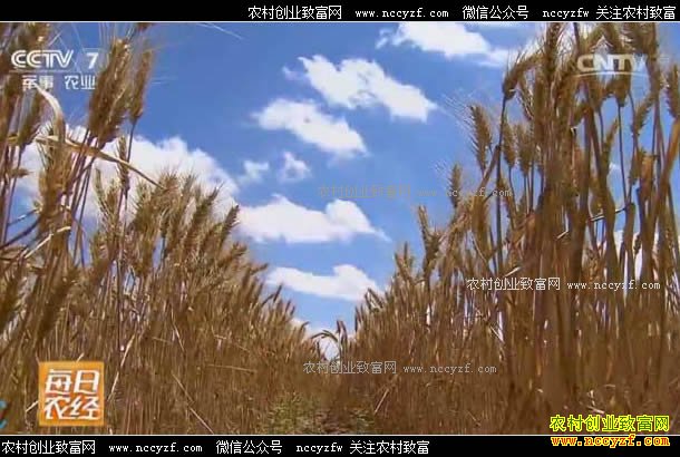 [ÿ��ũ��]�½����̲�����ڲ�ͬ��С��