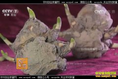 [ũ�����]ˮ�ɵ����ˮ��������Ƶ