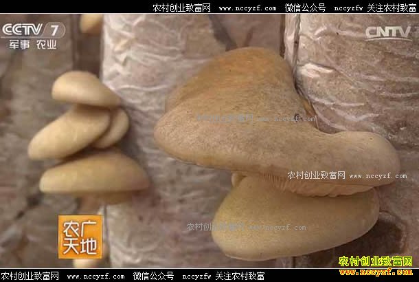 [ũ�����]����������鹽 20170731