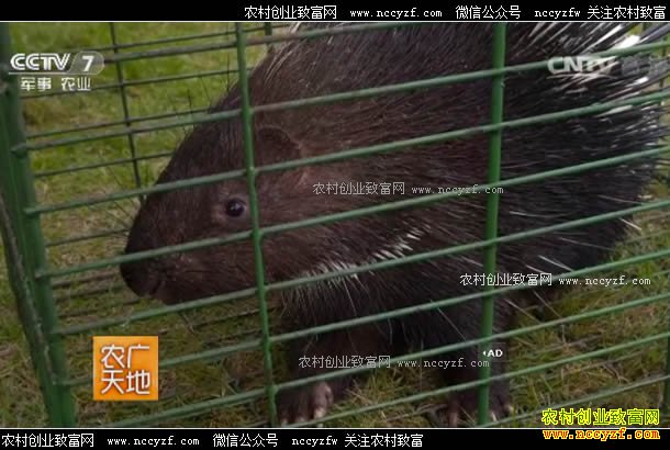 [ũ�����]���̵ġ�������׬Ǯ 20170731