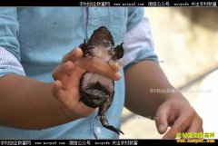 [�¸���]����������ֳ��������㽭��������ֳʯ�ܲ�����·