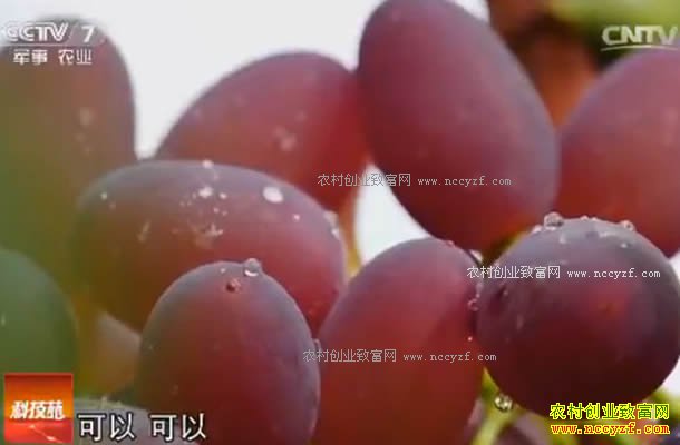 [�Ƽ�Է]ɳ©���������� 20170801