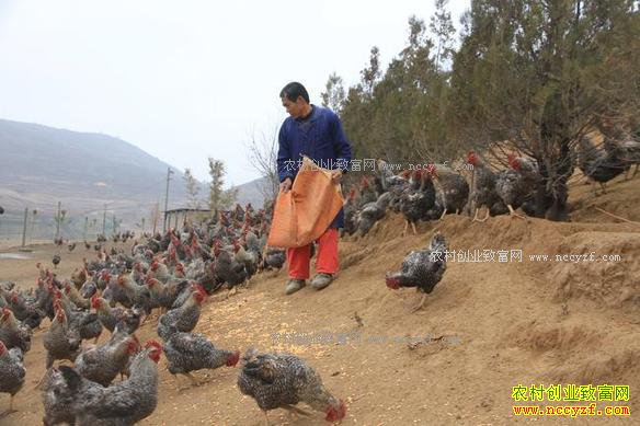 ���໷�ذ�������ֳ«����ǰ����