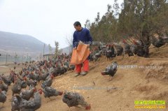 ���໷�ذ�������ֳ«����ǰ����