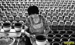 山东沂源:传统小加工增收大市场