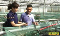 [�¸���]�����żҸ����һ������ƽ�����Ƹ�����