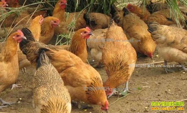 ɽ�������н��˹�����������Ч���ر��