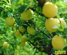 �㽭���������족��ɽˮ����Ʒ��������