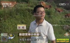 [�¸���]���������������������ظ���ţ�¸�����Ƶ