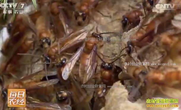 [ÿ��ũ��]������˷��������ζ ������Ҳ����