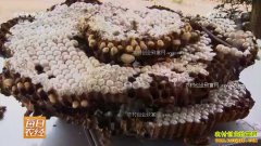 [ÿ��ũ��]������˷��������ζ ������Ҳ����