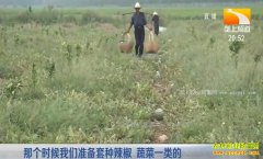 ¢������ֲ�¸���Ŀ����԰��������Ч���