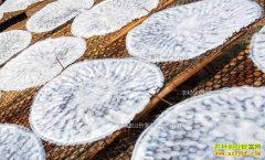 ���������ͬ���ӹ��̶���Ƥ��׬������