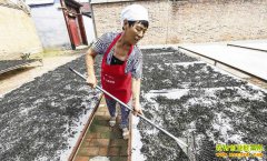 �ӱ����أ�Ұ����ӹ�Ч���