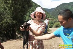 [�¸���]�Ĵ�ƽ��������ƭ�ز�����һ������һ�ٶ�