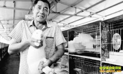 ���ո���򣶫������ֳ���ƽ��á���ũ����ƶ�¸�����Ŀ