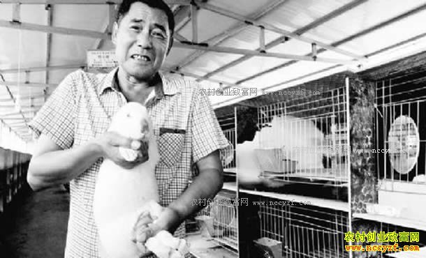 ���ո���򣶫������ֳ���ƽ��á���ũ����ƶ�¸�����Ŀ