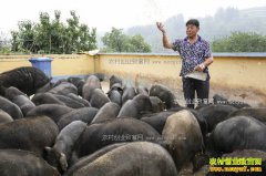 ɽ���Ͳ��ųɸ���ɽ�����������¸�·