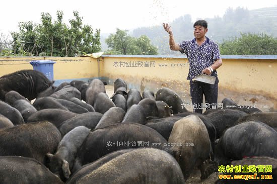 8��6�գ�ɽ���Ͳ����ʹ����ɲ�������ֳרҵ���������³��ųɸ�������ι��������