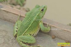 [�¸���]�������������ܸ���������ˮ���̽�