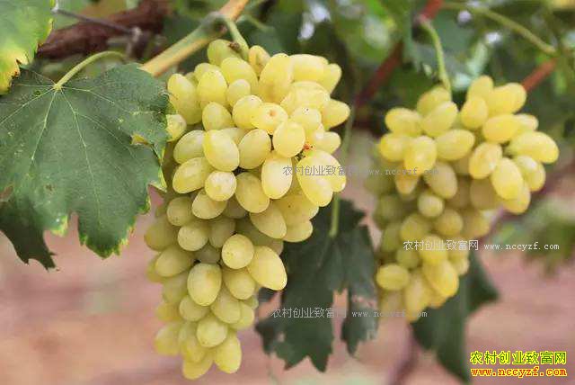 ���շ�������ɽ������Ȧ������������·��