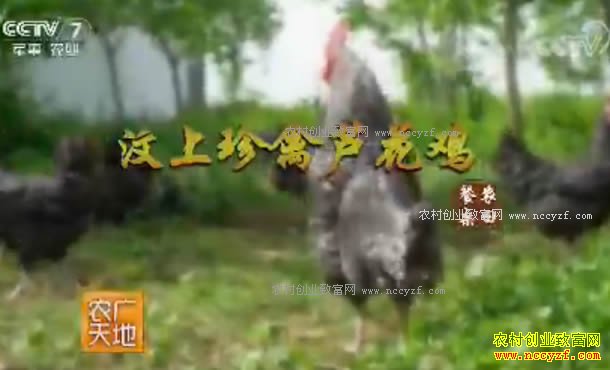 [ũ�����]��������«������ֳ������Ƶ 20170822