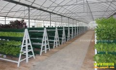 �����������¹����ƶ�С��԰��Ӯ�̻�