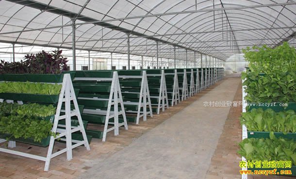 �����������¹����ƶ�С��԰��Ӯ�̻�