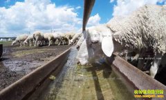 [�¸���]ͬ������ �ӱ���������������������������