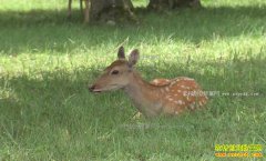 [�¸���]�����׬���� �ӱ�Χ���¼�ΰ����¹���⾭