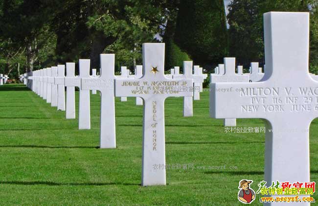 ������ҵ