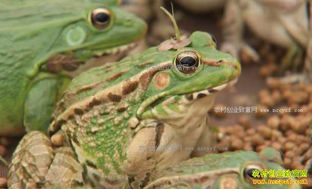 [�¸���]�Ĵ��ɶ��������������ֳ����׬����