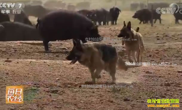 [ÿ��ũ��]�����ˣ������������� 20170825